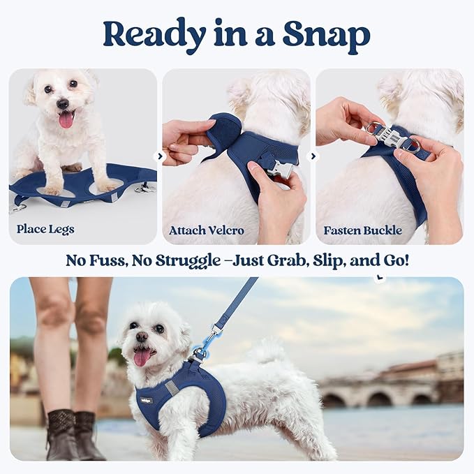 rabbitgoo Dog Harness Small Medium Sized and Leash Set, Step in Soft Light Puppy Vest, Breathable Mesh Pet Harness, Reflective for Safe Outdoor Walking, Navy Blue L
