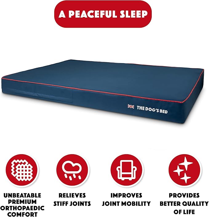 The Dog’s Bed Orthopedic Memory Foam Dog Bed Mattress, Oxford Fabric, Blue with Red Trim, XXXL, 6-Inch