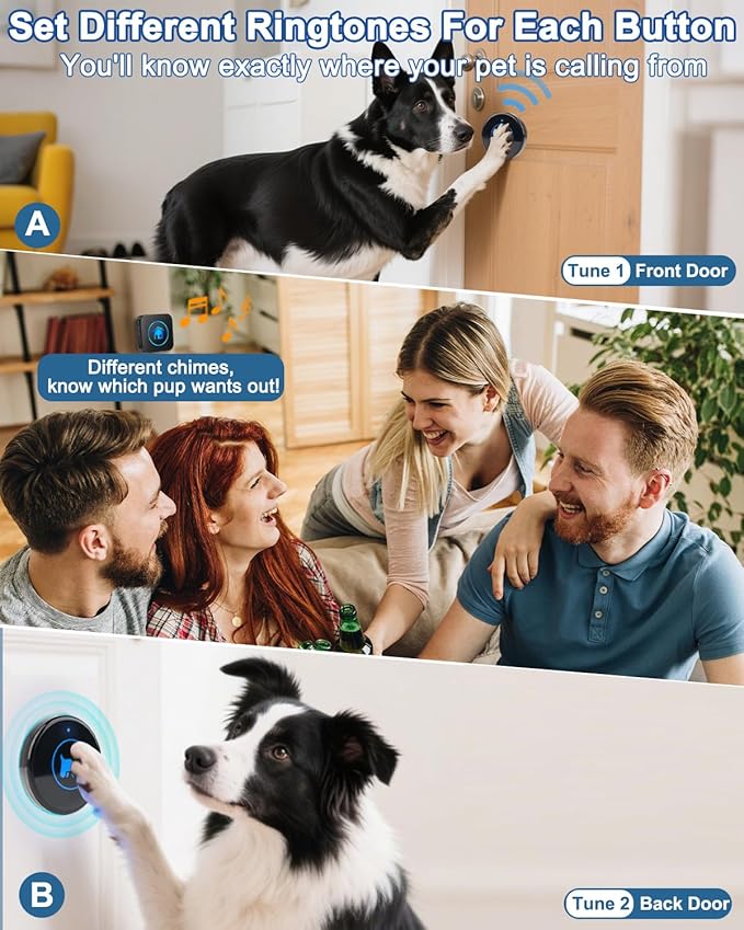 Dog Door Bell, Wireless Dog Doorbells for Potty Training – Dog Bells to Go Outside, 1000Feet Range, Waterproof Button, 55 Melodies & 5 Notification Modes (4 Buttons)