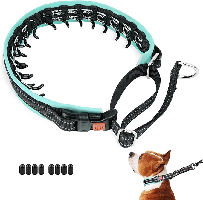 Mayerzon Martingale No Pull Collar for Medium Large Dogs, Patented Anti Pull Dog Collar with Buckle for Walking Training, with Neoprene Padding and Reflective Stitching, Adjustable(Teal Trim, M)