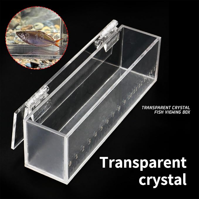 Multipurpose Acrylic Fish Isolation Box for Small Breeding and Observing Clear Breeding Tanks for Home Use Fish Isolation Box