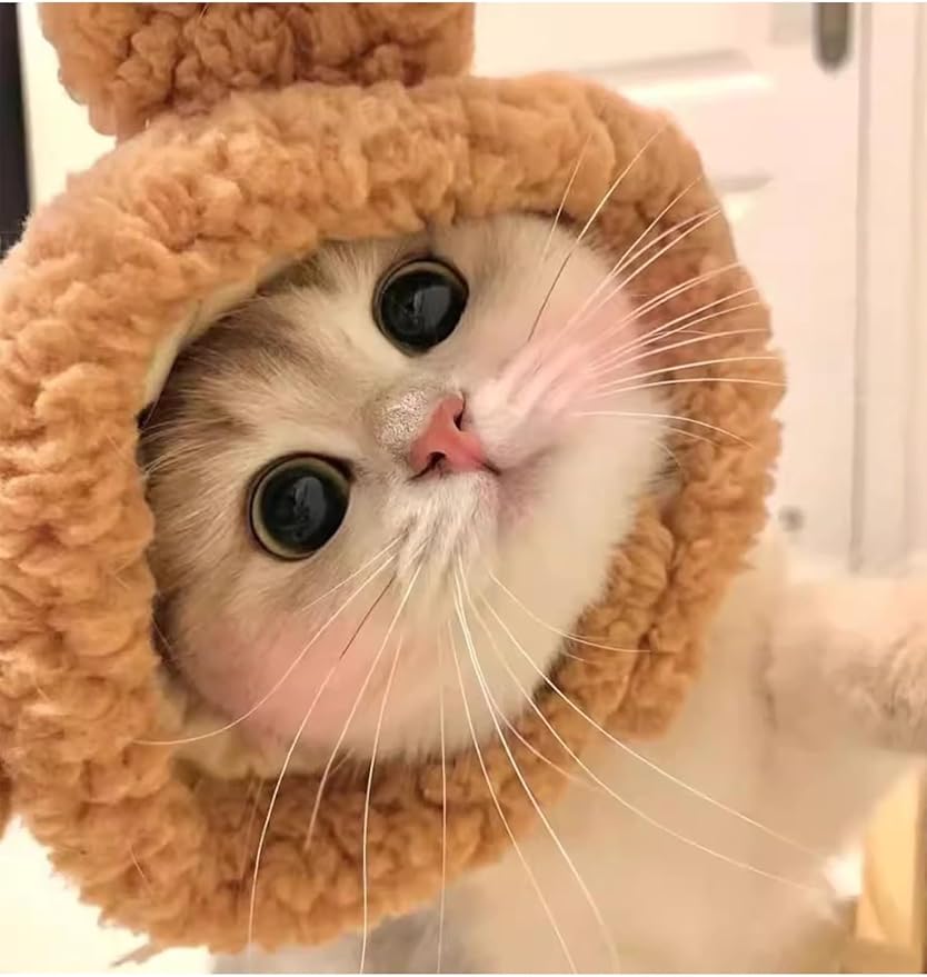 2 Pcs Cat Warm Hat - Winter Pet Headwear for Cats Small Dogs,Cute Cat Clothing Accessories Dress Up Valentines Party Birthday Theme(Brown,Pink)