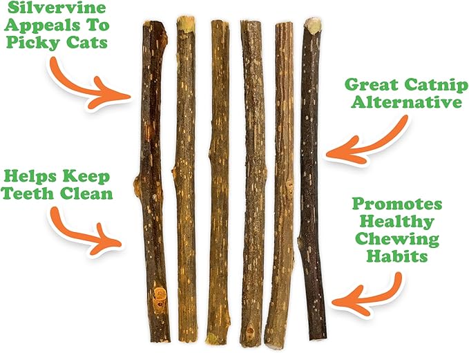 Meowijuana Silvervine Sticks | 4” Chew Sticks for Cats | Promote Healthy Chewing Habits and Dental Health | Freshly Harvested from Silverine Plants