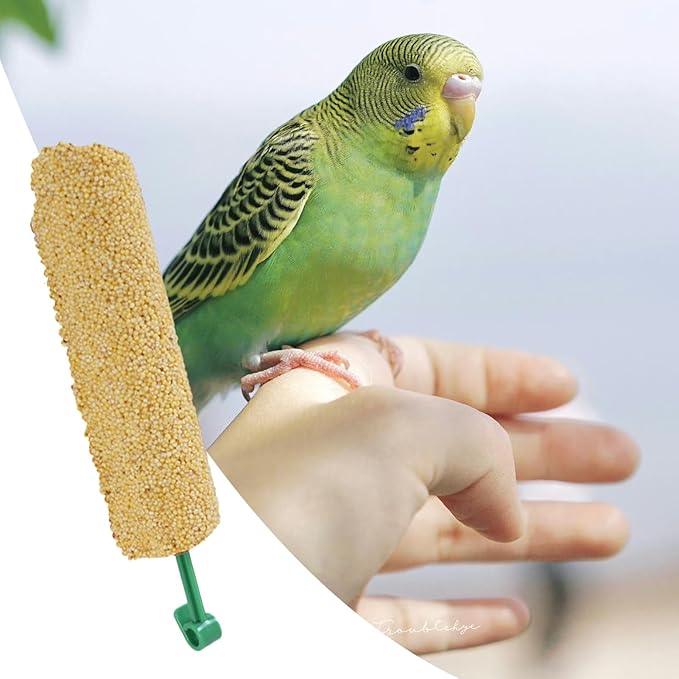 Bird Treat Stick Set, Chewing Training Reward Snacks, Multi Species Nutrition for Cockatiel Finch and Parrot, Natural Seed Blend Formula, Free Hanging Design, Healthy Enrichment Support