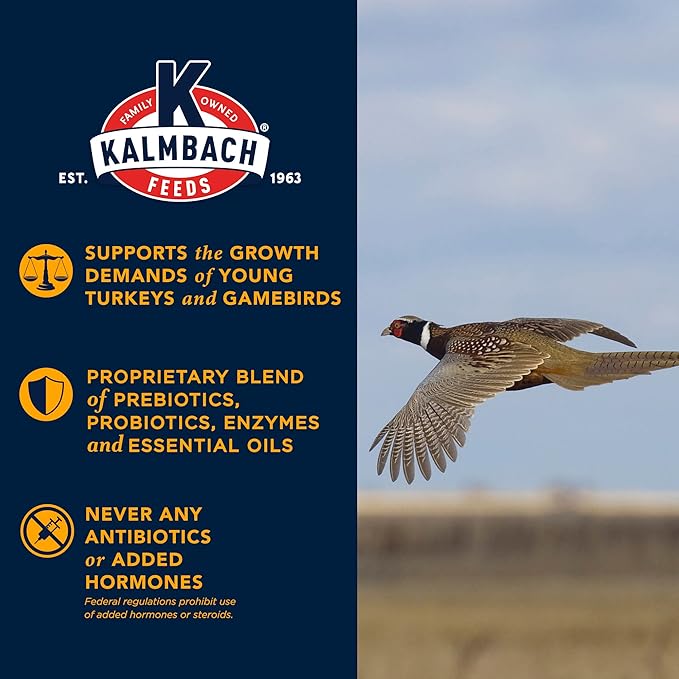 Kalmbach Feeds Start Right Non-GMO Turkey & Gamebird Crumble Feed, 50 lb Bag