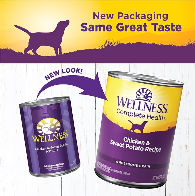 Wellness Complete Health Pate Adult Canned Wet Dog Food, Wholesome Grains, Natural, Chicken and Sweet Potato, 12.5 oz, Pack of 12 Cans