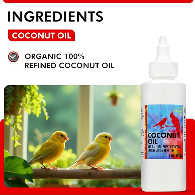 Morning Bird Coconut Oil for Birds 4 oz – Cold Pressed, Organic - Supports Immunity & Digestion – Boosts Energy & Feather Health – Easy to Mix – Safe for All Bird Life Stages