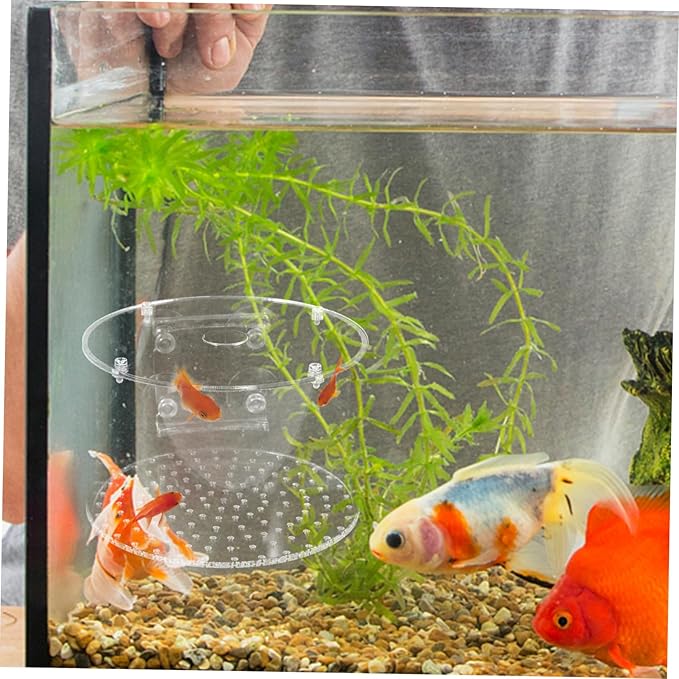 BESPORTBLE Fish Breeder Box Fish Breeding Tank for Isolation Lightweight Portable Aquarium Divider for Betta and Shrimp Easy to Install Design