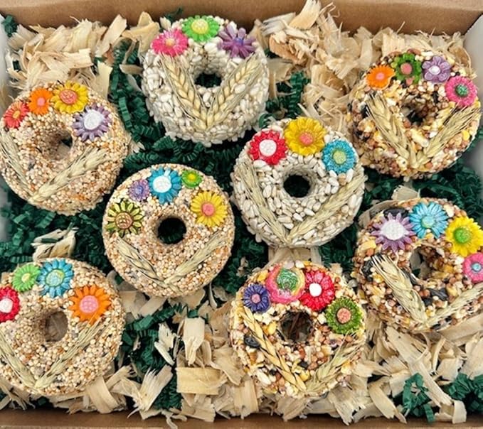 8-Pack Hanging Bird Seed Ornaments w/ 100% Edible Flowers & Wheat Stalks, Circle Shape, 3 Seed Blends Included, 100% Edible (Safe for Bird Consumption)