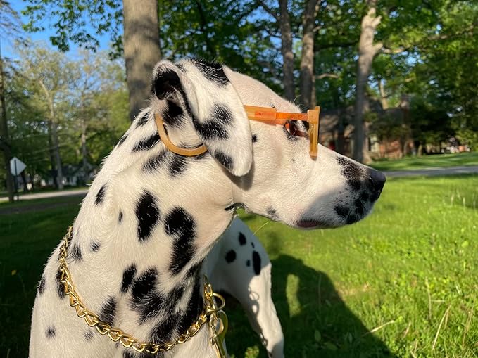 Chain Choke Collar for Dogs, Metal Slip Link Training Heavy Duty Dog Collar Martingale Puppy Collars for XXS XS Small Medium Large Big XL Breed Dogs (Gold, XS(Neck Max 12inch) D2.0mm)