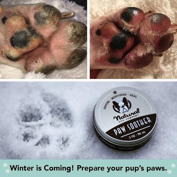 Natural Dog Company Paw Soother Balm & Wax - Dog Paw Balm & Moisturizer for Dry, Cracked Paw Pads, Helps Moisturize & Condition Winter-Worn Paws, Coconut Oil & Calendula, Daily Paw Care, 0.15 oz Stick