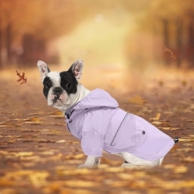 Morezi Dog Zip Up Raincoat with Reflective Buttons, Rain/Water Resistant, Adjustable Drawstring, Removable Hood, Raincoats with Legs 8lbs to 80lbs Available - Purple - L