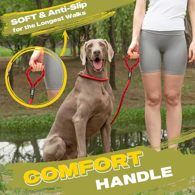 Fida Durable Slip Lead Dog Leash, 6 FT x 3/8" Heavy Duty Comfortable Strong Rope Slip Lead for Small Dogs and Puppies, No Pull Pet Training Leash with Highly Reflective (3/8", Red)