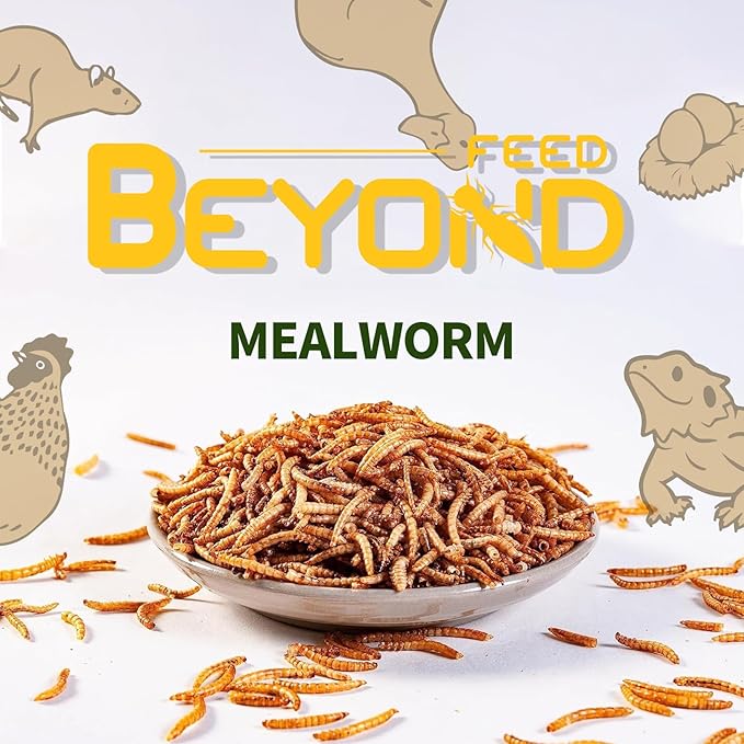 BeyondFeed™Small Bottle Dried Mealworms & Black Soldier Fly Larvae High-Protein Feed for Chickens, Ducks, Birds, Reptiles, Fish, Hamster, Turtles (6 (1.23 oz/35 g) Bottles Bundle, Dried Mealworm)