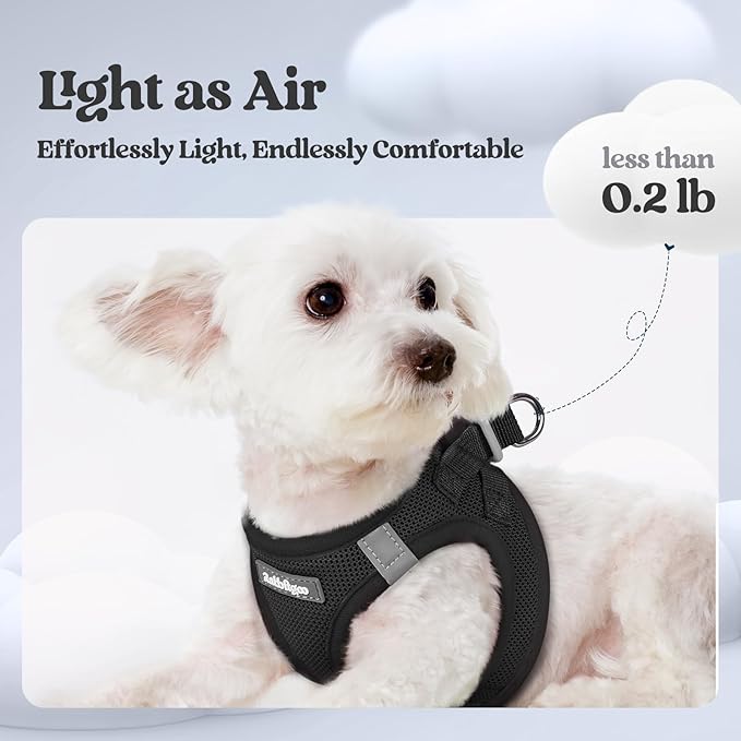 rabbitgoo Dog Harness Small Sized and Leash Set, Step in Soft Light Puppy Vest, Breathable Mesh Pet Harness, Reflective for Safe Easy Walking, Black XS