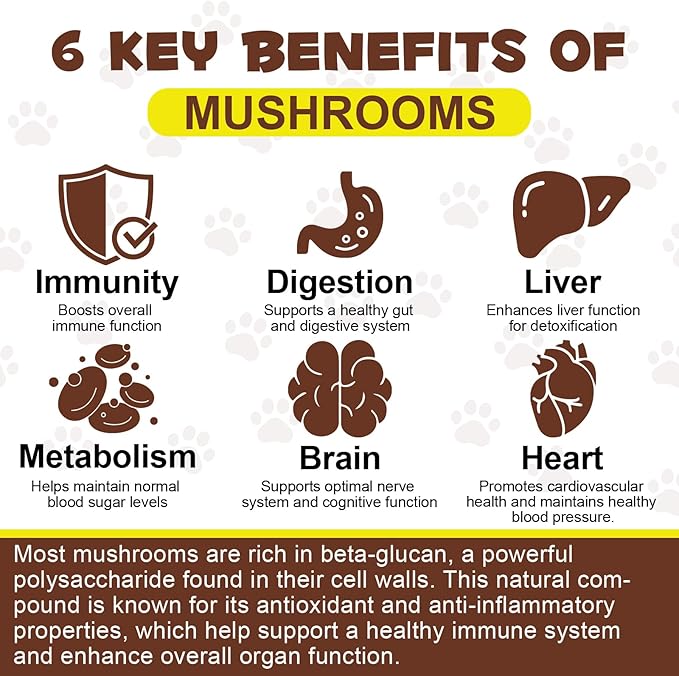 Mushroom Powder for Dogs & Cats, Natural Pet Supplement Mushroom Powder Support Immune, Heart, Brain & Liver with Turkey Tail, Reishi, Lion's Mane for Cellular Protection, Bacon Flavor - 4.23 oz(120g)