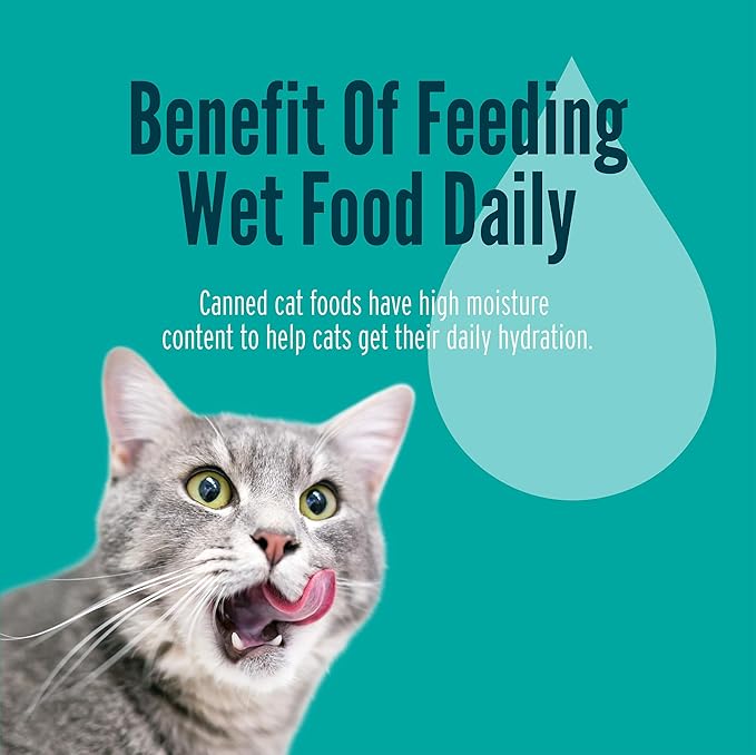 A Strong Heart Canned Wet Cat Food, Salmon Dinner Paté - 5.5 oz Cans (Pack of 24), Made in The USA with Real Salmon