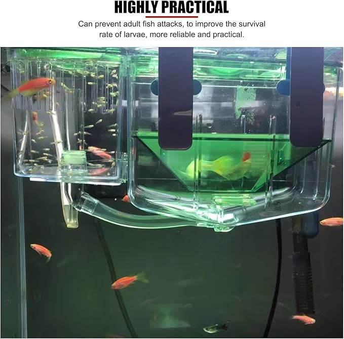 EVTSCAN Double Layer Fish Breeding Box Aquarium Fish Isolation Box Safe Hatchery Incubator Fish Separation Tank for Newborn Fish Injured Fish Shrimp