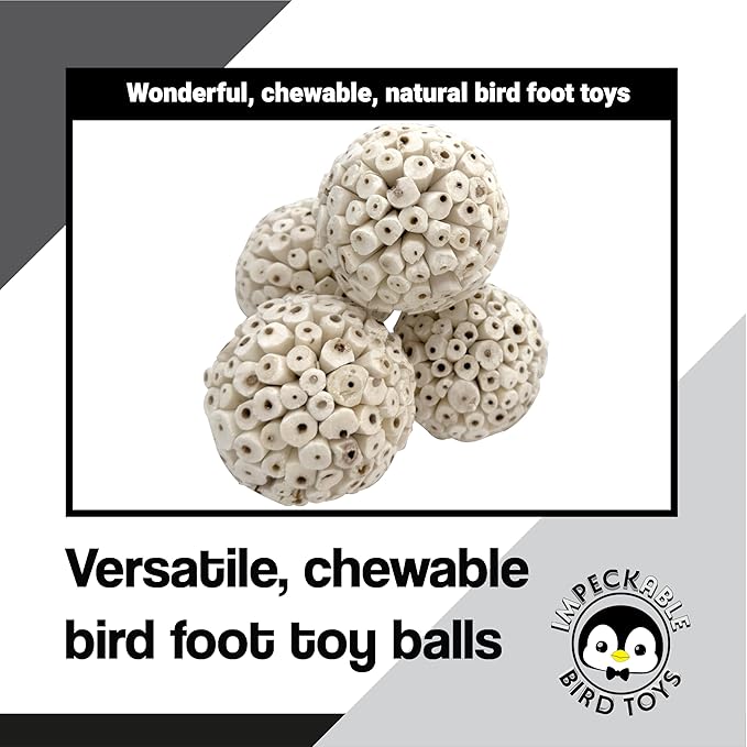 9501 Pk4 Huge Sola Balls Large 4 Inch Handmade Wood Balls - Natural Bird Toy for Cage - Soft Shreddable Chewing Foot Toys for Medium & Large Birds - Macaw, African Grey & Parrot - Foraging Accessory