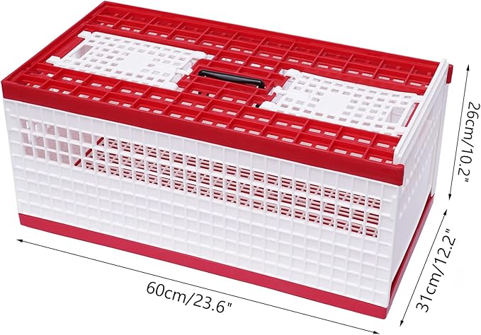 Racing Pigeon Carrier Box Bird Training Basket with 2 Side Doors 2 Top Doors Box