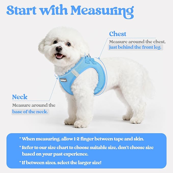rabbitgoo Dog Harness Small Medium Sized and Leash Set, Step in Soft Light Puppy Vest, Breathable Mesh Pet Harness, Reflective for Safe Easy Walking, Blue XL