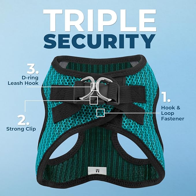 Best Pet Supplies Voyager Step-in Air Harness - All Weather Mesh, Reflective, No Pull Harness for Dogs, Cats - Secure with Hook & Loop Fastener, Buckle, Double D-Rings - Turqupise 2-Tone, M