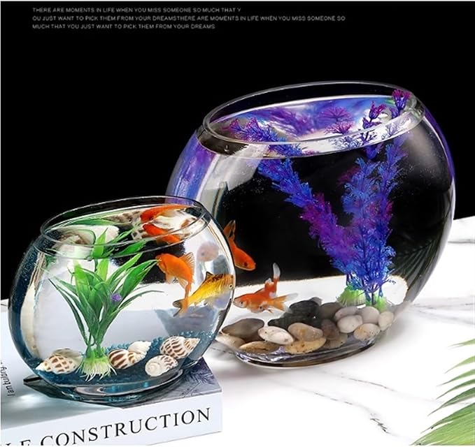 Aquariums Fish Bowl Creative Oval Glass Small Goldfish Fish Tank Home Desktop Decoration Transparent Glass Fish Tank Fish Tanks(XL)