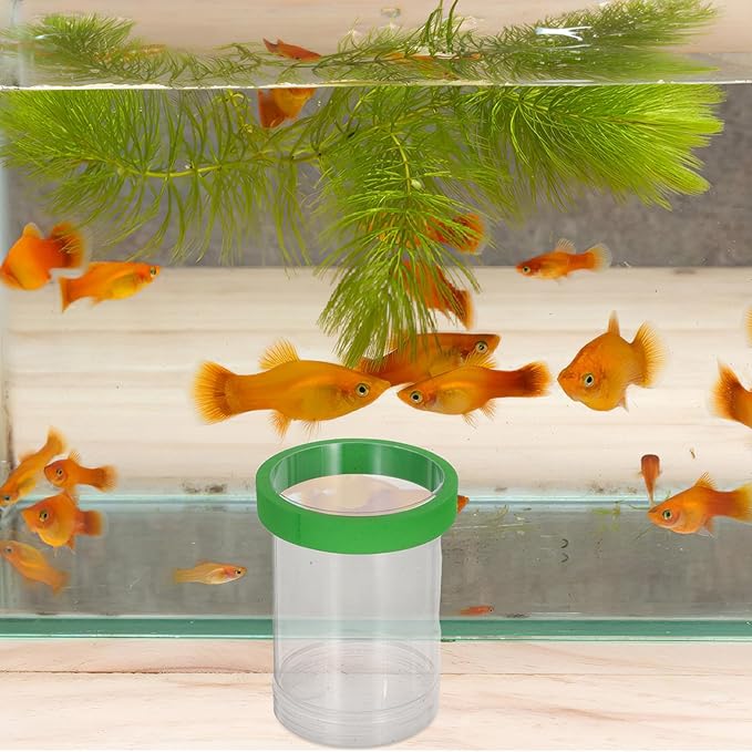 UPKOCH 2 Sets Fish Breeding Box: Plastic Aquarium Breeding Chamber - Floating Isolation Hatchery Incubator for Small Fish Betta Shrimp Clownfish Guppy