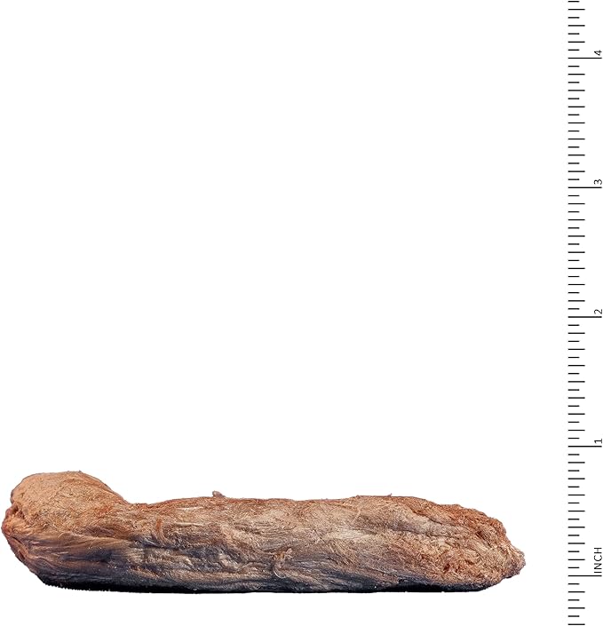 Archetype Treats Chicken Necks 5.5 oz. Bag