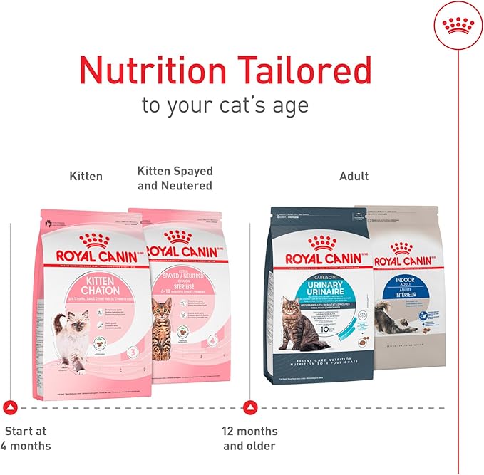 Royal Canin Feline Health Nutrition Kitten Dry Cat Food, 14 lb Bag