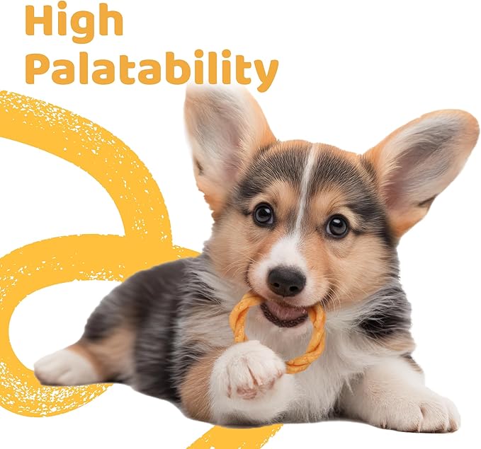 iPaw Turkey Dog Treats, All Natural Human Grade Dog Treat, Suitable for Training chew, US Sourced Raw Material, Hypoallergenic, Rawhide Alternative, Ring (Pumpkin), 5 Packs