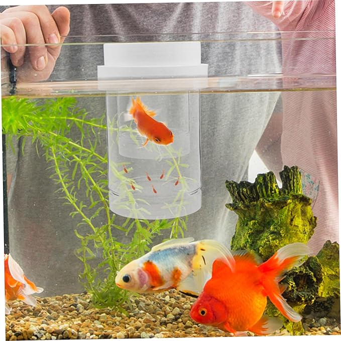 1 Set Fish Breeder Box: Fish Tank Breeding Isolation Box Plastic - Floating Hatchery Incubator for Guppy Betta Shrimps - Aquarium Divider