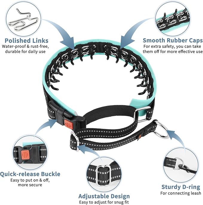 Mayerzon Martingale No Pull Collar for Medium Large Dogs, Patented Anti Pull Dog Collar with Buckle for Walking Training, with Neoprene Padding and Reflective Stitching, Adjustable(Teal Trim, M)