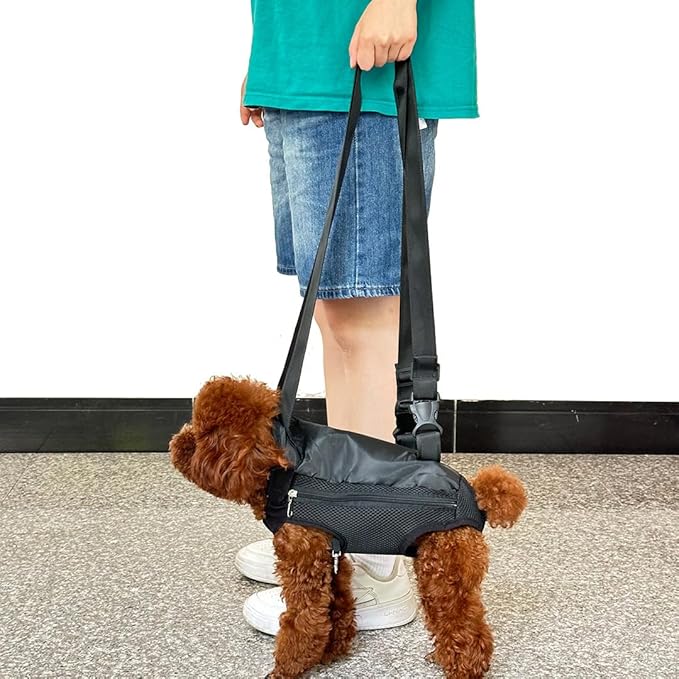 Pet Dog Carrier Backpack, Portable Breathable Mesh Chest Carrier, Polyester Woven Double Shoulder Pet Bag for Outdoor Adventures (Black, Small)