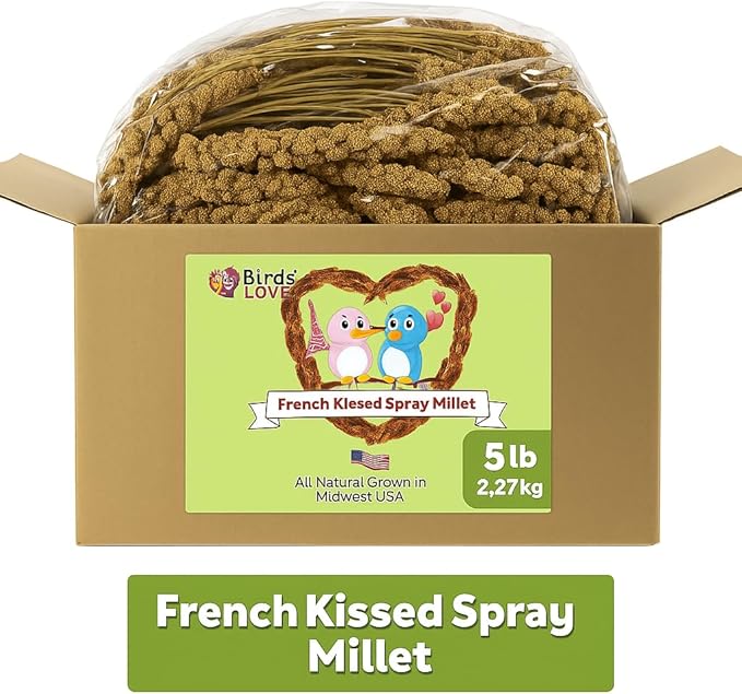 Birds LOVE 5lbs French Kissed Spray Millet for Birds – Harvested in France & Packed in The USA – 100% Natural & Sun‑Dried Millet Spray for Parakeets, Cockatiels, Conures, Parrots & Budgies