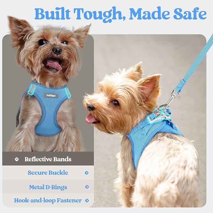 rabbitgoo Dog Harness Small Medium Sized and Leash Set, Step in Soft Light Puppy Vest, Breathable Mesh Pet Harness, Reflective for Safe Easy Walking, Blue XL