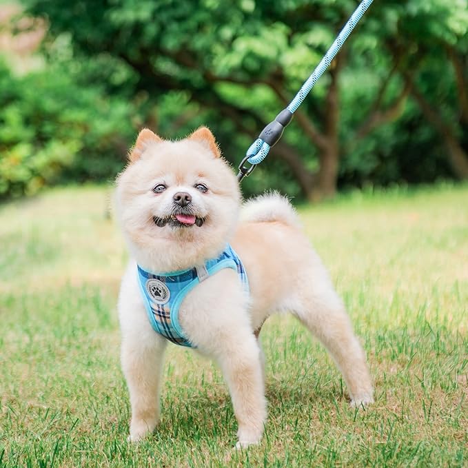 BEAUTYZOO Small Dog Harness and Leash Set,Step in No Choke No Pull Soft Mesh Dog Harnesses Reflective for Extra-Small/Small Medium Puppy Dogs and Cats, Plaid Dog Vest Harness for XS S Pets, Blue XXS
