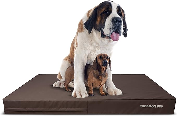 The Dog’s Bed Orthopedic Memory Foam Dog Bed Mattress, Oxford Fabric, Brown with Brown Trim, XXXL, 6-Inch