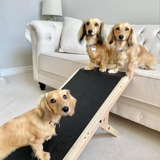 DoggoRamps Dog Ramp for Couch - Furniture Quality Solid Maple - with Anti-Slip Grip & Landing Platform - Adjustable Dog Ramp 14" to 21" - Couch Ramp for Dogs up to 150lbs - Made in North America