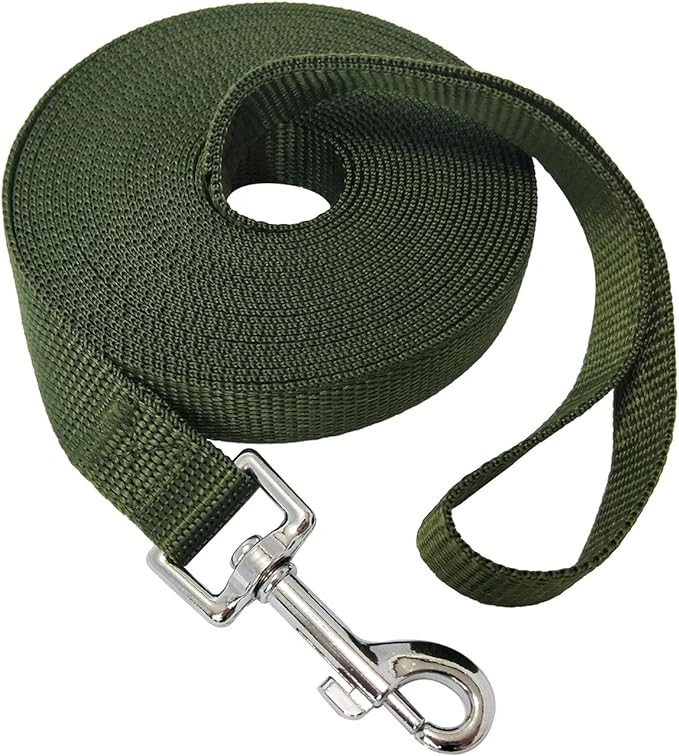 Nylon Training Dog Leash for Small Medium Large Dogs, 15ft 20ft 30ft 50ft Long Leash Dog/Puppy Lead for Obedience Recall Training, Camping (1" x 20ft, Green)