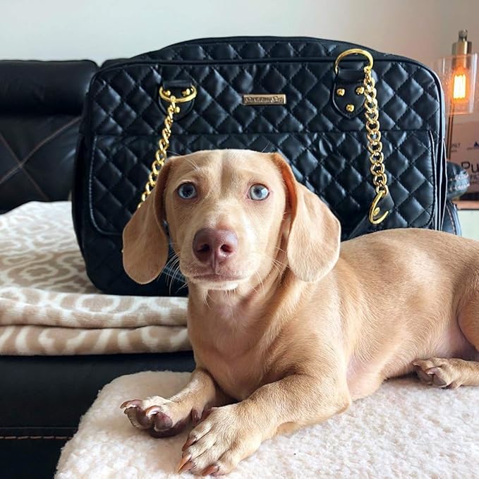 Parisian Pet Dog Purse - Fashion Pet Carrier for Small & Medium Dogs - Breathable, Black, Golden Chain Puppy Carrier Handbag
