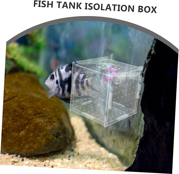 Box Aquarium Breeding Box Dual Purpose Acrylic Isolation Holder for Fish Shrimp Compact Incubator Hydroponic Separator Easy to Clean Maintain