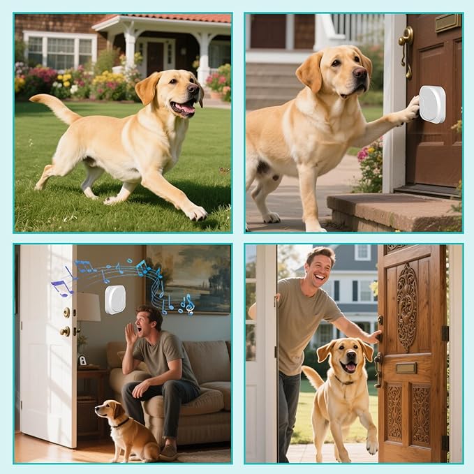 Dog Door Bell for Potty Training, Smart Wireless Doggie Doorbell to Go Outside, 1000 Feet Long Range with IP65 Waterproof Touch Button, 20 Melodies & Adjustable Volume (2 Button)