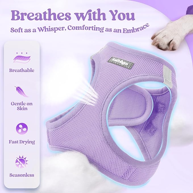 rabbitgoo Dog Harness Small Sized and Leash Set, Step in Soft Light Puppy Vest, Breathable Mesh Pet Harness, Reflective for Safe Easy Walking, Light Purple S