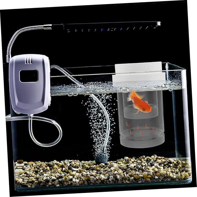 Kisangel 1 Set Fish Breeding Box: Guppy Breeder Box - Floating Isolation Hatchery Incubator for Guppy Betta Shrimp - Transparent Fish Tank Divider