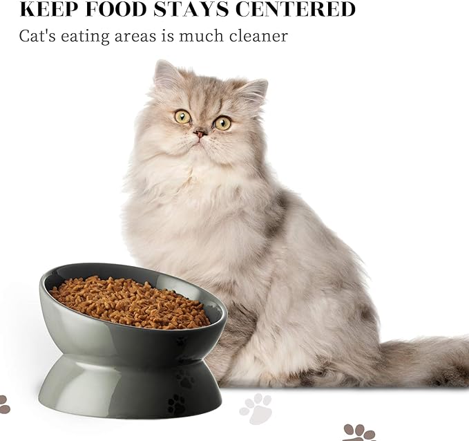 Y YHY Cat Bowls,Grey