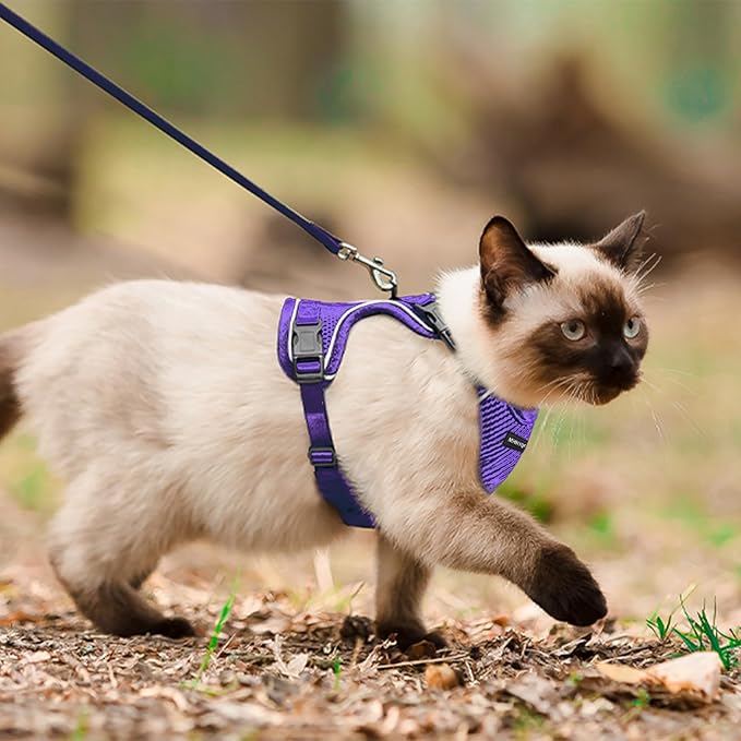 Cat Harness, Cat Harness and Leash for Walking, Escape Proof Soft Adjustable Vest Harnesses for Cats, Easy Control Breathable Reflective Strips Harness, Kitten Harness and Leash Set, Purple, S