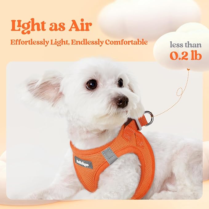 rabbitgoo Dog Harness Small Medium Sized and Leash Set, Step in Soft Light Puppy Vest, Breathable Mesh Pet Harness, Reflective for Safe Easy Walking, Orange XL