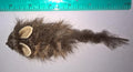 Fun Pack Rat Refill/Attachments - Fits Wildcat and Popular Bird and Mouse Type Wands/Poles