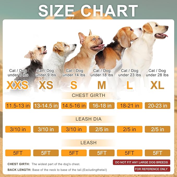 BEAUTYZOO Small Dog Harness and Leash Set, Step in No Choke No Pull Soft Mesh Dog Harnesses Reflective for Small Medium Puppy Dogs and Cats, Plaid Dog Vest Harness for S M Pets, Light Pink L